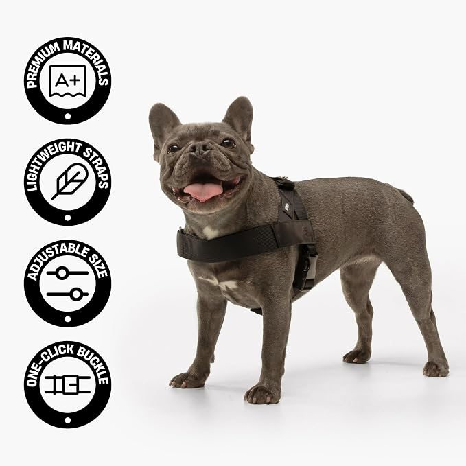 Dog Friendly Co. Dog Harness for Large Dogs (Pink Camo, Large) | One Click Buckle, Chafe Resistant Webbing, Adjustable Neck & Chest, and Heavy Duty D-Ring, Sturdy Comfortable and Easy to Use
