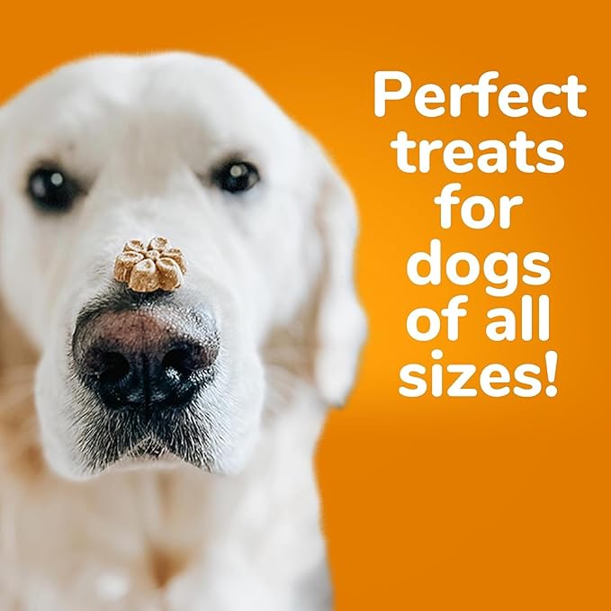 Fruitables Baked Dog Treats, Healthy Pumpkin Treat for Dogs, Low Calorie & Delicious, Free of Wheat, Corn and Soy, Made in the USA, Apple and Crispy Bacon Flavor, 7oz