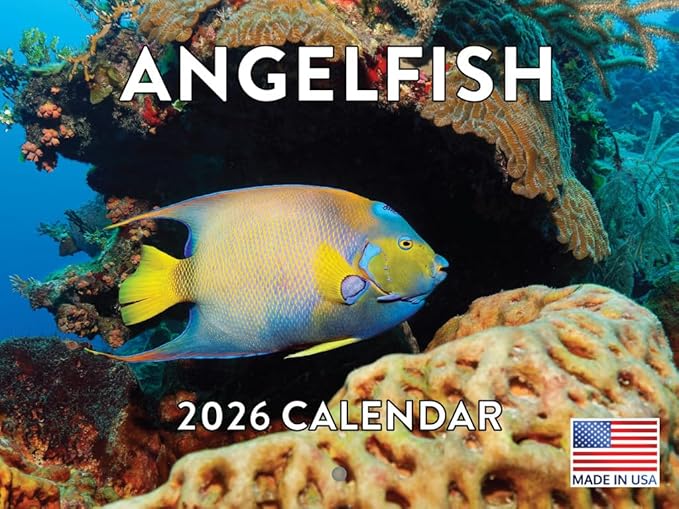 Angelfish Calendar 2026 Angel Fish Monthly Wall Calender 12 Month Tropical Fish Gifts | American Made In The USA