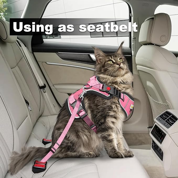 Cat Harness and Leash for Walking, Retractable Cat Harnesses and Leash Set Escape Proof, Breathable Soft Kitten Small Large Harness for Travel Training and Walking, Pink, S