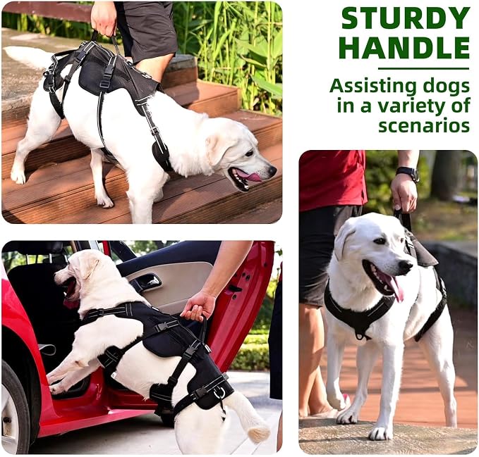 PUPTECK Dog Lift Harness for Medium Large Sized Dog, Rehabilitation Sling for Hind Leg Support, Multifunctional Mobility Assistance Harness for Old, Disabled, Joint Injuries, Paralysis Dogs, Black L