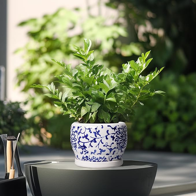 SQOWL 6 Inch Planter - Ceramic Plant Pots Indoor with Drainage Hole and Saucer, Round Ceramic Flower Pot Outdoor, Porcelain Decorative Planter, Backyard Decor, Gifts for Plant Lovers, Blue and White