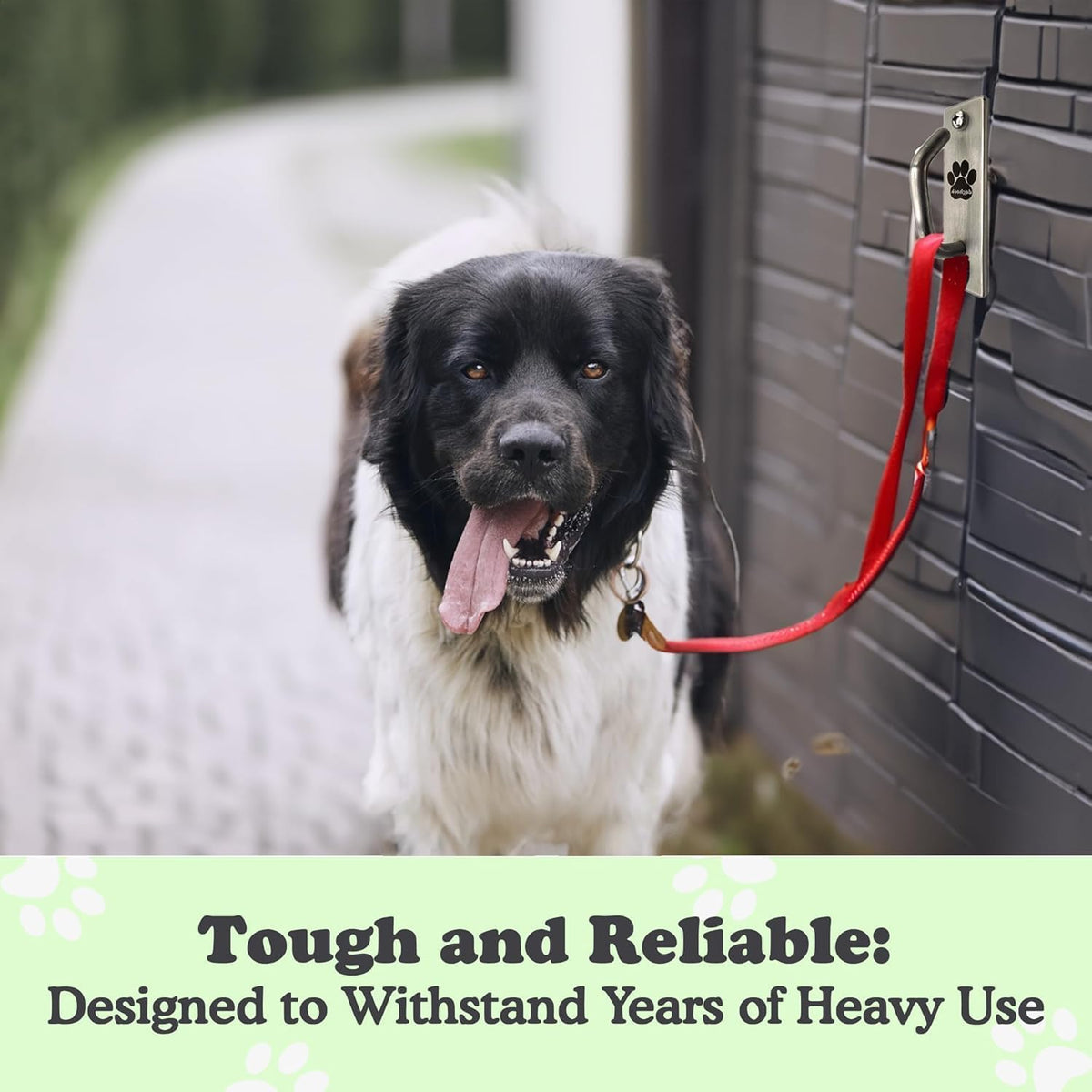 Wall-Mounted Leash Hitch. A tidy, secure spot to park the leash indoors or out.