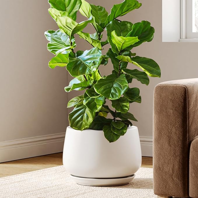LE TAUCI Ceramic Planters, 12 Inch Pots for Plants, Plant Pots with Drainage Holes and Saucers, Durable and Modern, Planters for Indoor Plants, White