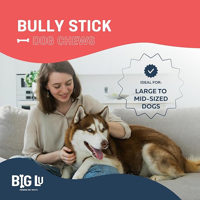 Big Lu - 12” Regular Bully Sticks, 12 Count, 100% Grass-Fed Beef Chews, Fully Digestible, Long-Lasting Treats for Aggressive Chewers, Natural Single-Ingredient Chews for Large Dogs