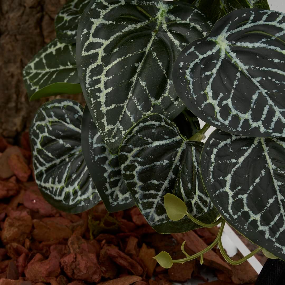 Reptile Plants for Terrarium, Amphibian Habitat Decor Artificial Hanging Plants with Suction Cup - Fake Anthurium Crystallinum