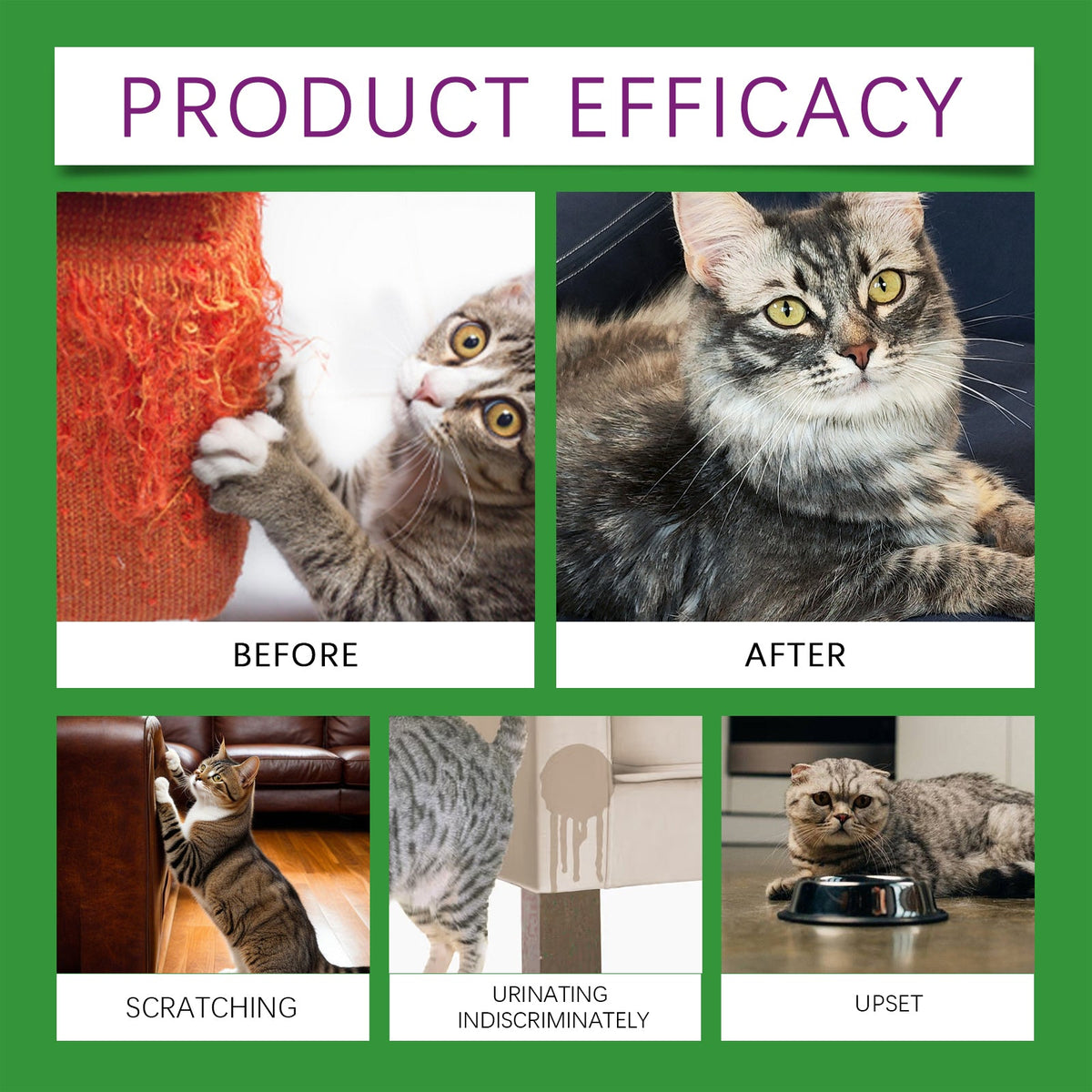 Cat Calming Pheromone Diffuser Kit 45ml, Stress Relief For Anxious Cats & Kittens