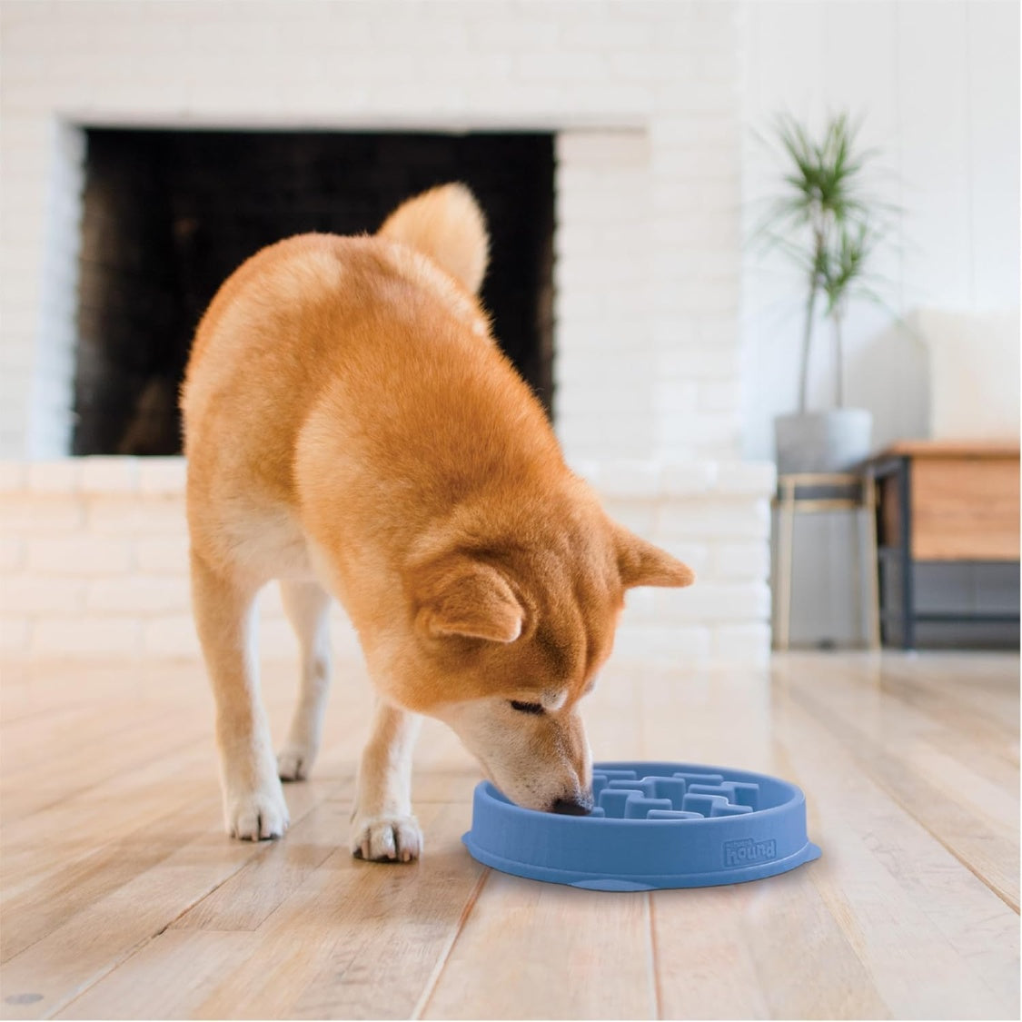Feeder Slo Bowl  Medium 2Cup Capacity, Slow Feeding, Small To Medium Dogs  Cats, Non Slip, Blue, Notch Pattern