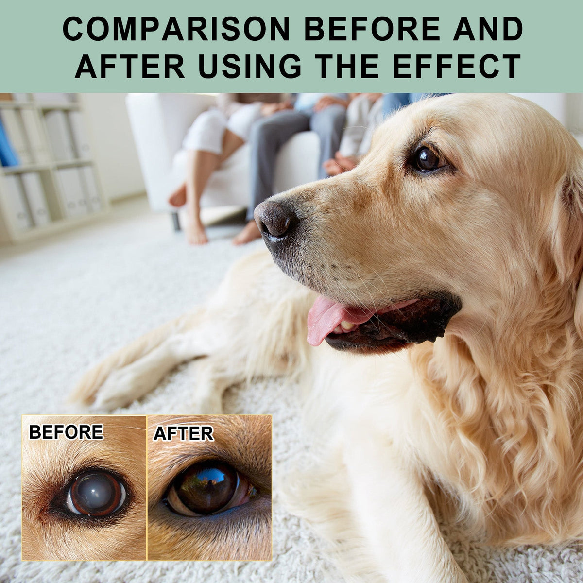 Pet Eye Drops For Dogs & Cats, Gentle Eye Cleaner With Honeysuckle Oil & Blueberry Extract, Soothes Irritation, Tear Stain Remover For Pet Daily Eye Care