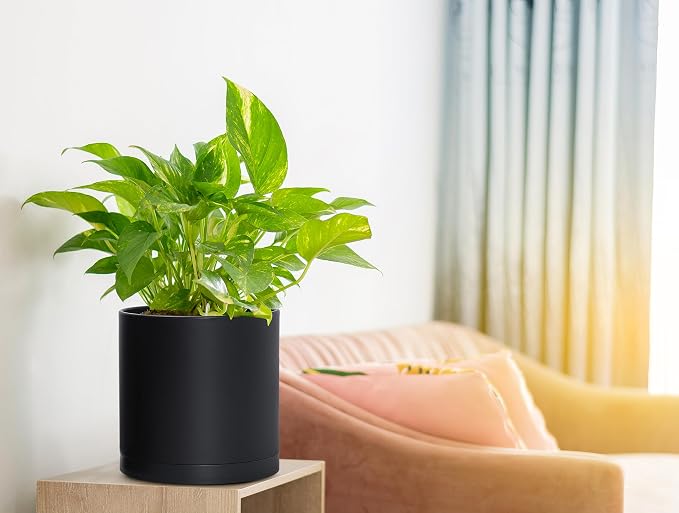 D'vine Dev 4 Pack 6.5 Inch Modern Plastic Plant Pots, Small Garden Planters for Plant with Drainage Holes and Saucers, Black Color, 74-Y-L-2