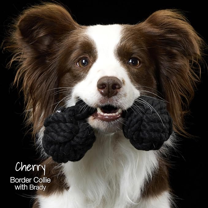 Brady The Rope Tug Toy 3-Pack Organic Cotton Dog Rope Pull Toys for All Pet Breeds, Sandy Chic, One Size