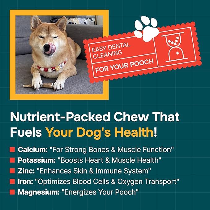 100% Natural - Elk Antlers for Dogs - Naturally Shed in USA - Dog Antler Chews for Medium Breeds - Natural, Long-Lasting Treats for Aggressive Chewers - Dog Chews - No Smell & No Mess - Medium