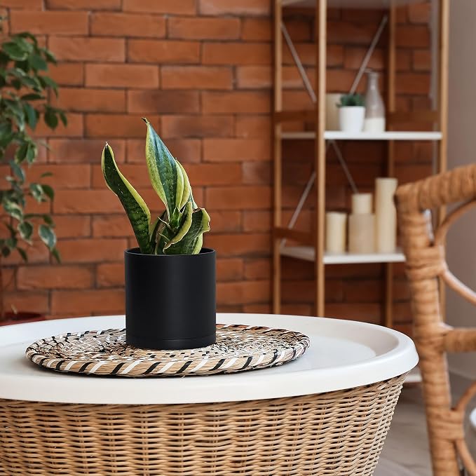 D'vine Dev 4 Pack 6 Inch Modern Plastic Plant Pots, Small Garden Planters for Plant with Drainage Holes and Saucers, Black Color, 74-Y-J-2