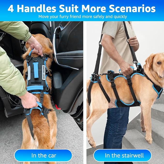 Dog Lift Harness for Large Male Dogs, 2-in-1 Detachable Support Harness, Full Body Carrying with 4 Handles, Dog Sling for Large Dogs Hind Leg Support(Black, X-Large)