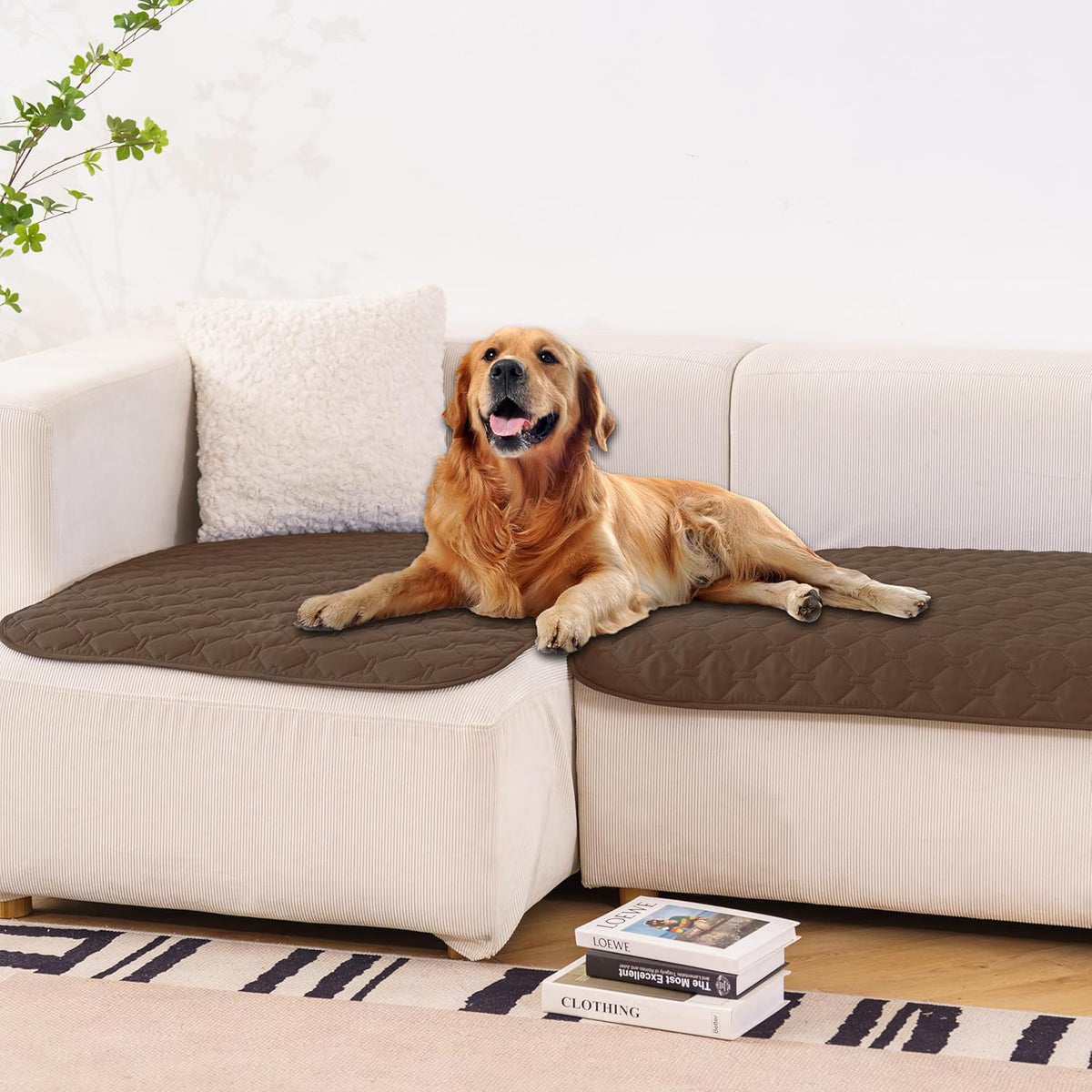 gogobunny 100% Double. A calm, considered pick for modern pet homes.