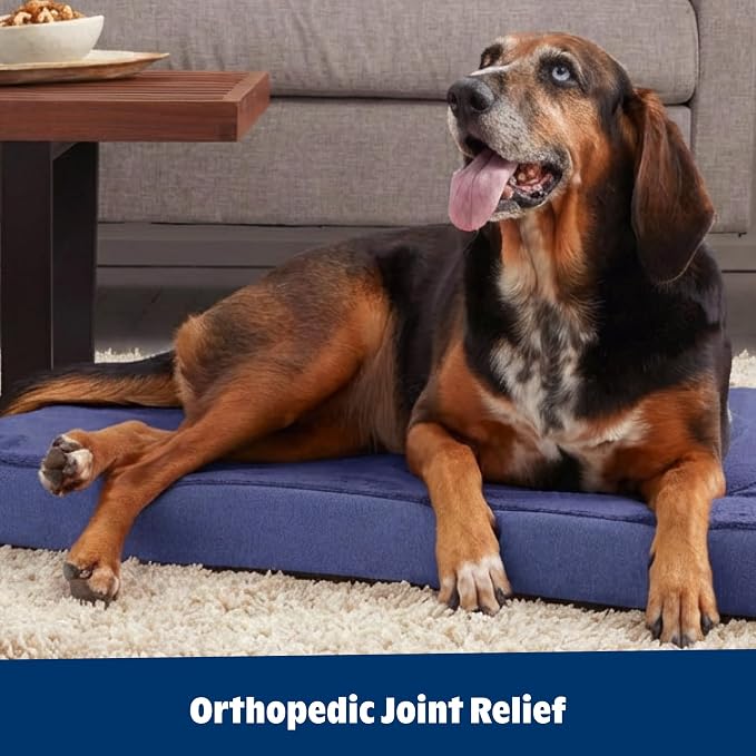 BarkBox Orthopedic Dog Bed - XL | with Memory Foam - Comfortable, Durable & Machine Washable Pet Bed - Navy