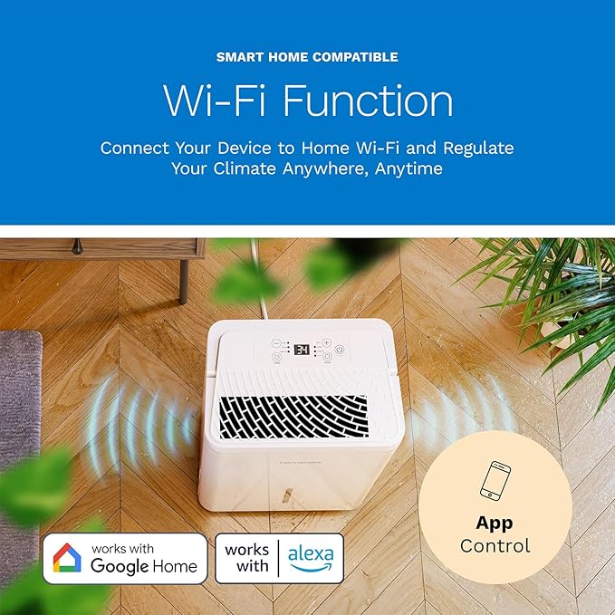 hOmeLabs Dehumidifier