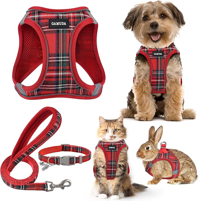 GAMUDA Small Dog Harness Collar and Leash Set, Step in No Chock No Pull Soft Mesh Adjustable Dog Vest Harnesses Plaid Reflective for Dogs Puppy Cats Kitten Rabbit (Red, XXS)