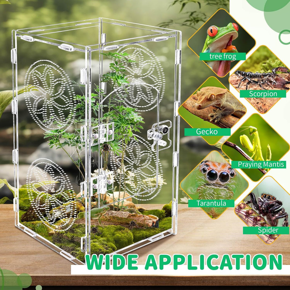 Jumping Spider Enclosure, 12x6x6 Inch Acrylic Tarantula Enclosure, Jumping Spider Accessories with Front Opening Door