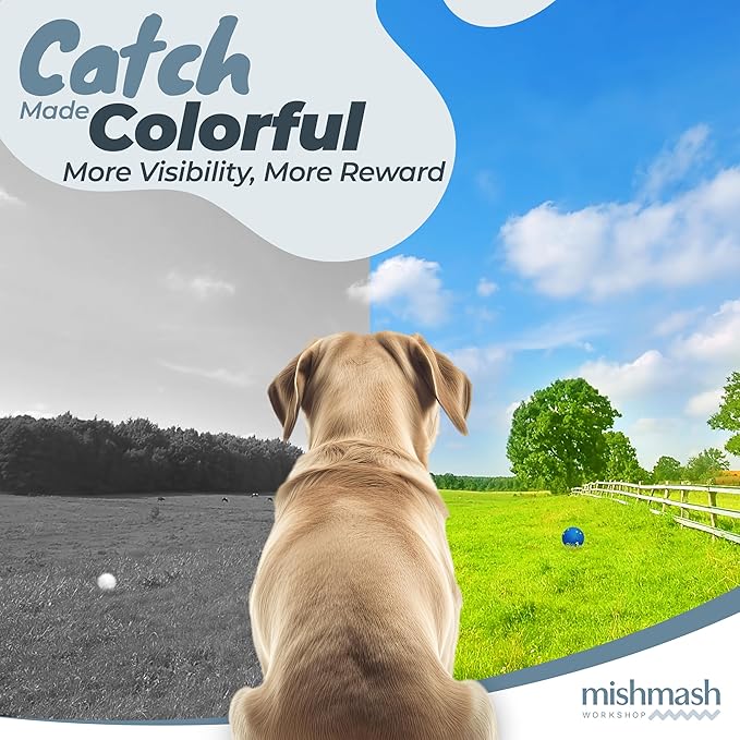 MISHMASH Vision Dog Ball Made with Premium Bite-Proof ETPU, Aggressive Chewers Waterproof Bouncy Interactive Dog Toy, Durable Tennis Ball for Medium to Large Breeds/Dogs/Puppies, (2 Pack)