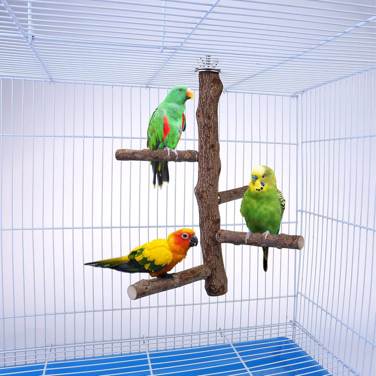 Bird Perch Stand Toy, Natural Wood Parrot Perch Bird Cage Branch Perch Accessories for Parakeets Cockatiels Conures Macaws Finches Love Birds (M: 10" Length)