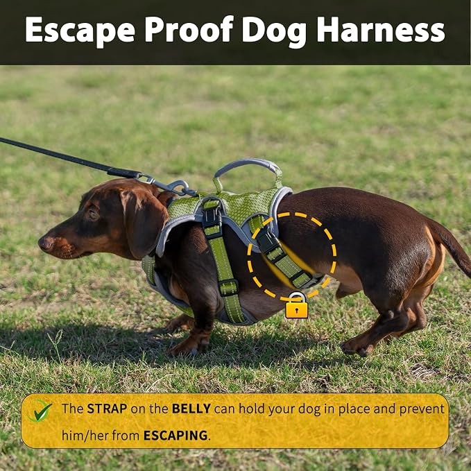 Escape Proof Dog Harness, Dachshund Harness, Reflective Dog Harness with Handle, Durable,Adjustable Vest for Small Medium Large Dogs Walking, Training, and Running Gear (Green,L)