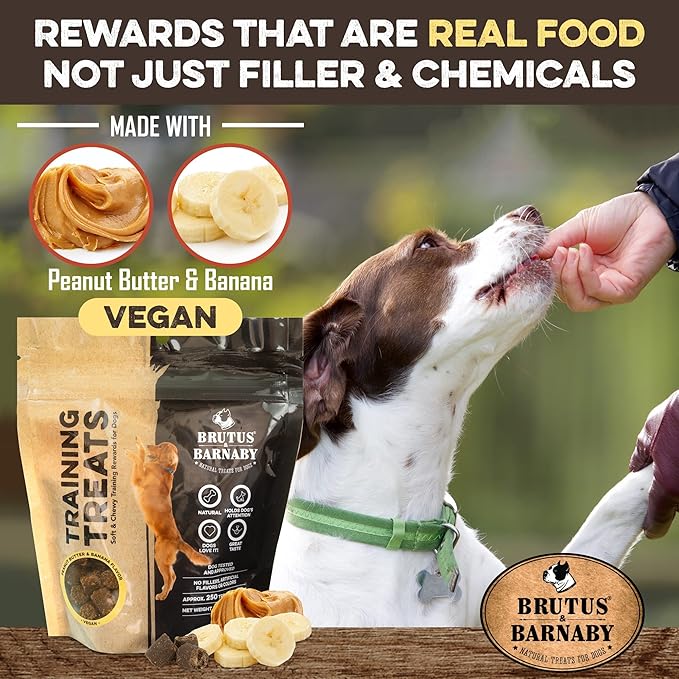 Training Treats for Dogs - Peanut Butter & Banana - All-Natural Healthy Low Calorie Vegan Dog Training Treats - Great to Use for Rewards in Training Your Puppy Or Dog