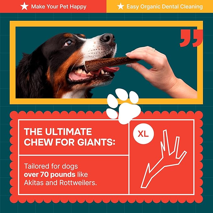100% Natural - Antlers For Dogs - Elk Antlers for Very Large Dogs - Naturally Shed in USA - Grade A Dog Antler Chews - Dog Chews - Natural, Long-Lasting Treats for Aggressive Chewers - Extra Large