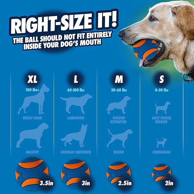 Chuckit! Ultra Squeaker Dog Ball, Fetch Toy, Medium, 1 Pack