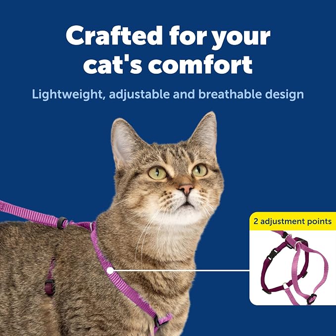 PetSafe Come with Me Kitty Harness and Bungee Cat Leash, Dusty Rose, Large | Adjustable 2-Point Fit Applies Gentle Pressure to Shoulders, Not Neck, for Average and Large Cats with 13 in - 18 in Girth