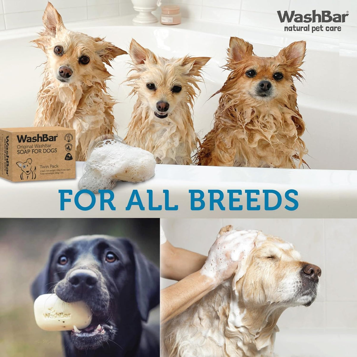 The Natural Dog Shampoo Bar Soap for Itchy Skin Relief - Twin Pack - Dog Soap for Sensitive Skin with Manuka and Neem Oil to Ease Allergies and Itching