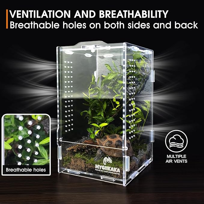 Acrylic Jumping Spider Habitat, Insect Terrarium, Bug Enclosure, Praying Mantis Habitat, Frog Enclosure
