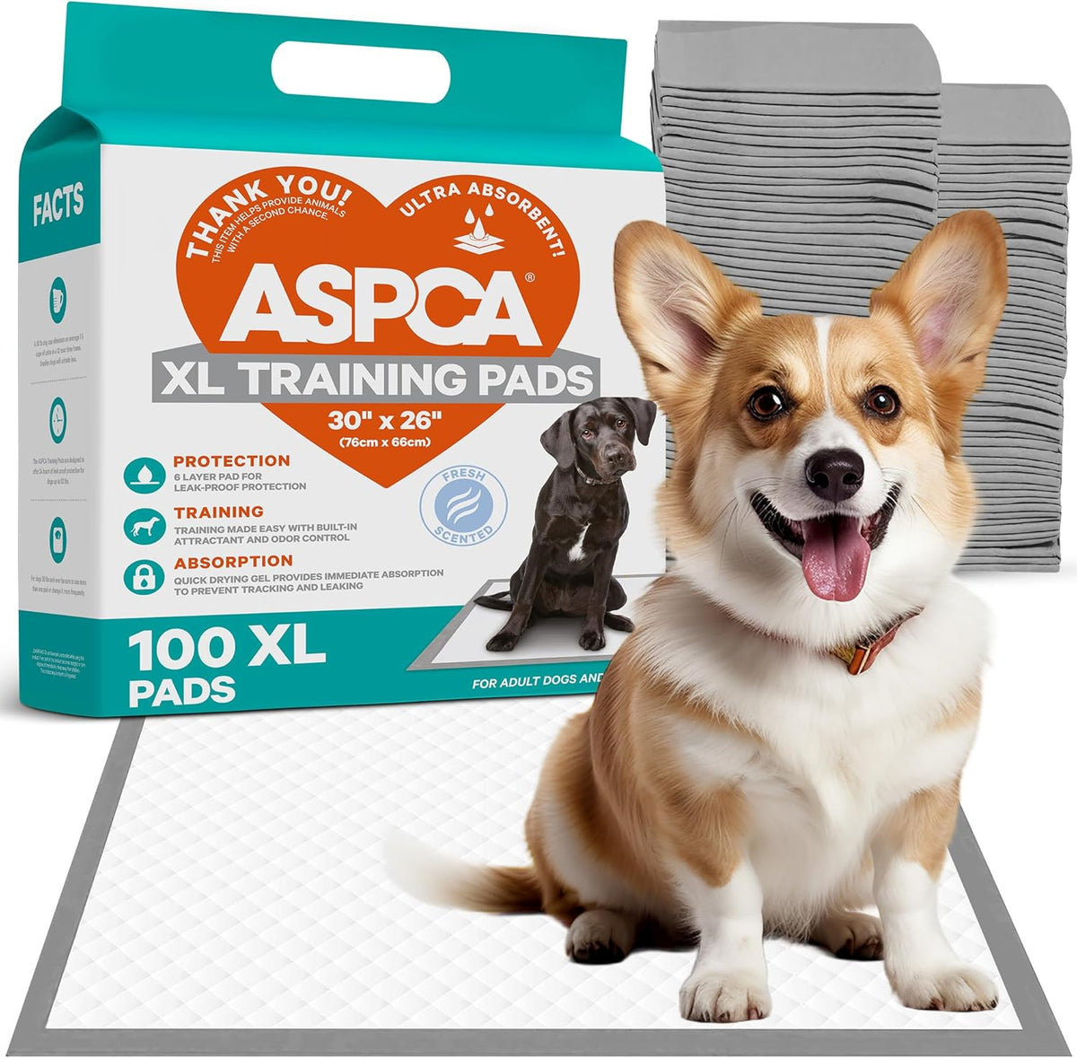 Puppy Pads: 100 Count Dog Pee Pads with Odor Control, 26x30 XL for Indoor/Outdoor Use