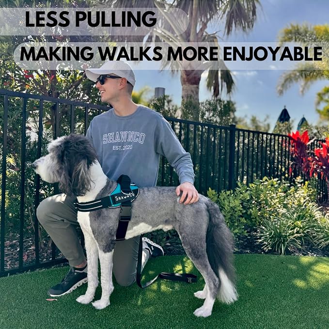ShawnCo Essential Pro Dog Harness, No-Pull Pet Vest with 3 Leash Clips and Removable, Reflective Side Patches, Adjustable and Padded Harness for Small, Medium and Large Dogs (Electric Blue, M)