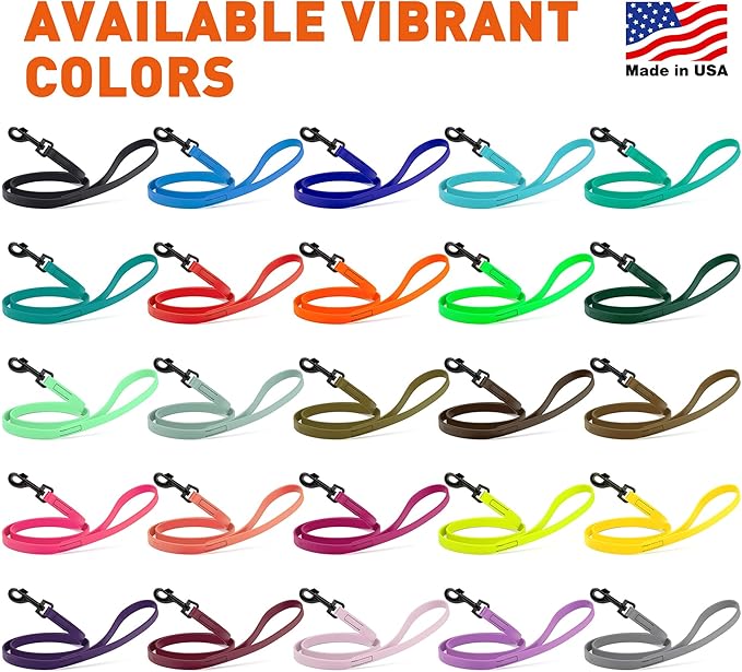 Dogline Biothane Waterproof Dog Leash Strong Coated Nylon Webbing with Black Hardware Odor-Proof Easy to Clean High Performance for Small or Large Dogs Made in USA 4 or 6 ft Lead, Cherry Red