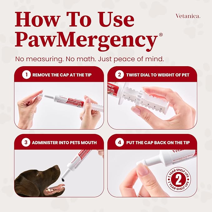 PawMergency – Activated Charcoal First Aid Kit Emergency Rescue 5 Pack for Dogs, Cats, Puppy & Pet Poison Kit, Camping Survival Remedy Essential, Oral Anti Diarrhea Digestive Absorb Toxins