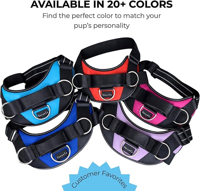 ShawnCo Essential Dog Harness, No-Pull Pet Vest (Seafoam,M) | 3 Leash Clips, Easy On, No-Choke, Reflective, Adjustable Fit, Padded Comfort, Control Handle, For Small, Medium & Large Dogs