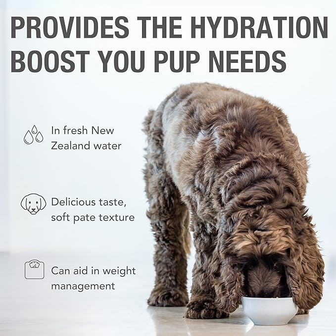 K9 Natural Wet Dog Food Pate, Lamb Feast, 6 Oz Cans (Pack of 12), Grain Free, Made in New Zealand with Grass-Fed, Free-Range Lamb, Single Source, Limited Ingredient