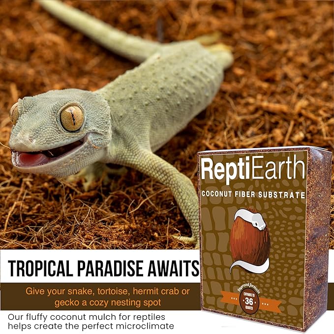 ReptiEarth Reptile Bedding, Fluffy Coconut Fiber Substrate 36 Quart Organic Coco Ready to Use for Bioactive Snake Terrarium, Lizard Tanks with Plants, for Frog, Tarantula or Hermit Crab Habitat (2 Pk)