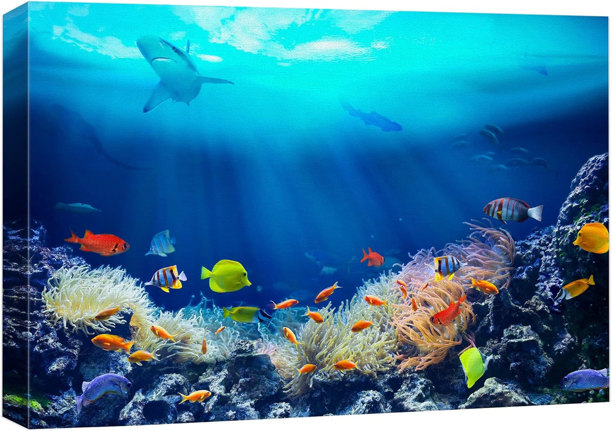 wall26 Canvas Print Wall Art Shining Sunlight Coral Reef Shark & Fish Nature Animals Photography Realism Rustic Scenic Landscape Wilderness Earth Colorful for Living Room, Bedroom, Office - 24"x36"