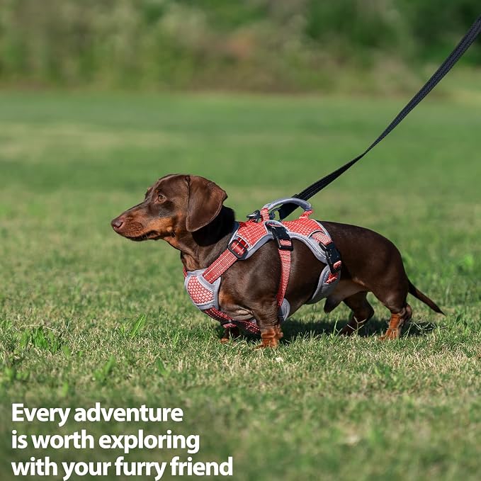 Escape Proof Dog Harness, Dachshund Harness, Reflective Dog Harness with Handle, Durable,Adjustable Vest for Small Medium Large Dogs Walking, Training, and Running Gear (Red,XL)