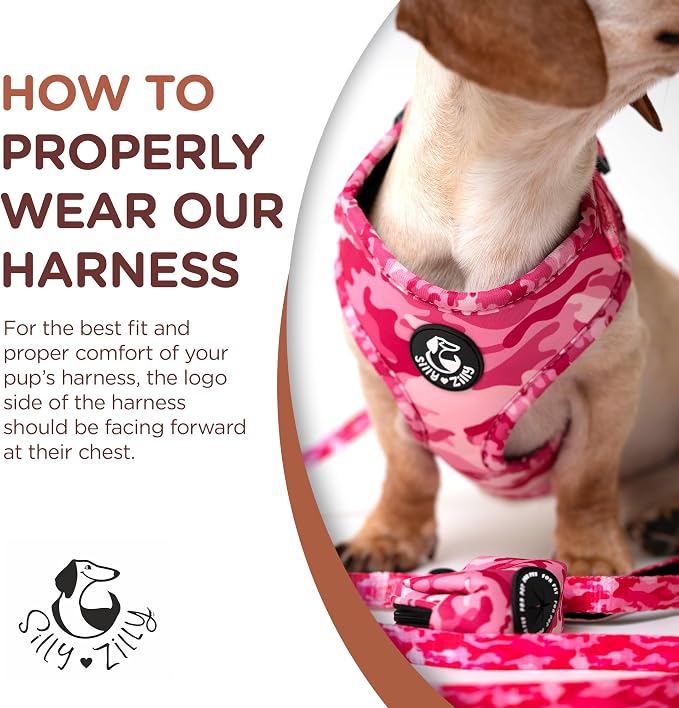 No Pull Harness and Leash Set - 6-in-1 Adjustable Vest Harness and Collars for Medium and Large Dogs. (Military Pink, Small)