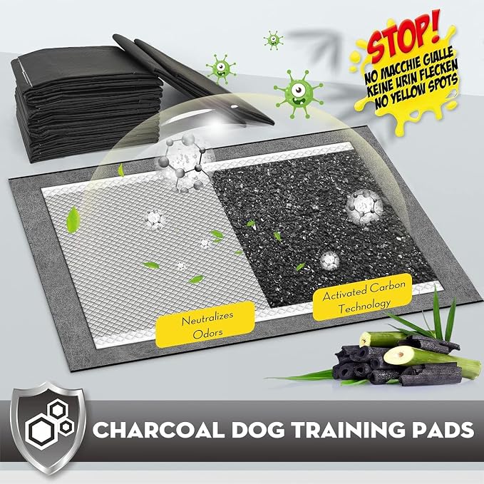 CROCI Charcoal Pee Pads for Dogs Odor Control Leak Proof XXL 30x36in 40Ct | Super Absorbent Dog Pee Pads with Adhesive Tabs, Heavy Duty, Dog Potty Training, Quick-Dry Surface, Disposable