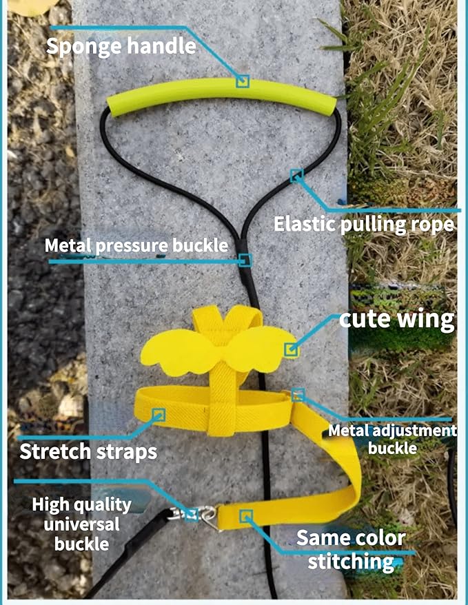 Pet Parrot Bird Harness Leash Adjustable Bird Flying Harness Traction Rope with Cute Wing for Parrots Pigeons Budgerigar Lovebird Cockatiel Mynah Outdoor Training Toy (XL, Purple)