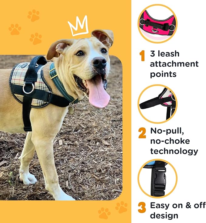 Bark Appeal Purple Plaid No-Pull Dog Harness for XS to Small Sized Pets – Adjustable, Reflective Vest with 3 Leash Clips for Added Control, Easy Walks & Training – Small