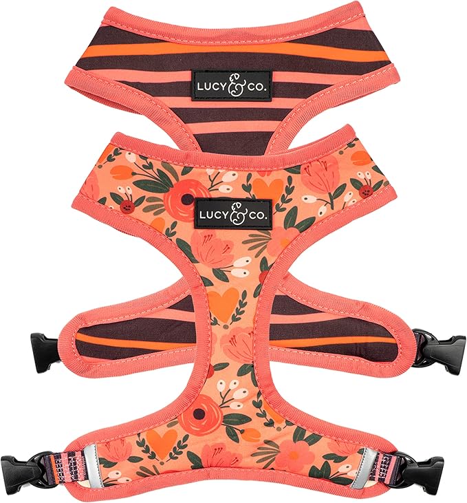 Lucy & Co. Reversible Dog Harness Walking Halter - Best Designer Pet Harnesses for Extra Small Medium Large XL Dogs Plus Pug Breeds - Padded Adjustable Puppy Vest for Easy Walking