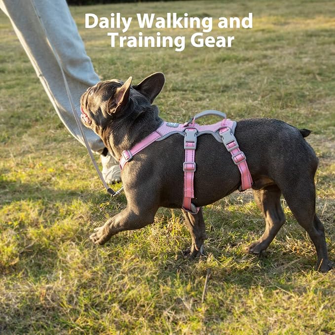 Escape Proof Dog Harness, Escape Artist Harness, Fully Reflective Harness with Padded Handle, Breathable,Durable, Adjustable Vest for Medium Dogs Walking, Training, and Running Gear (Pink,M)