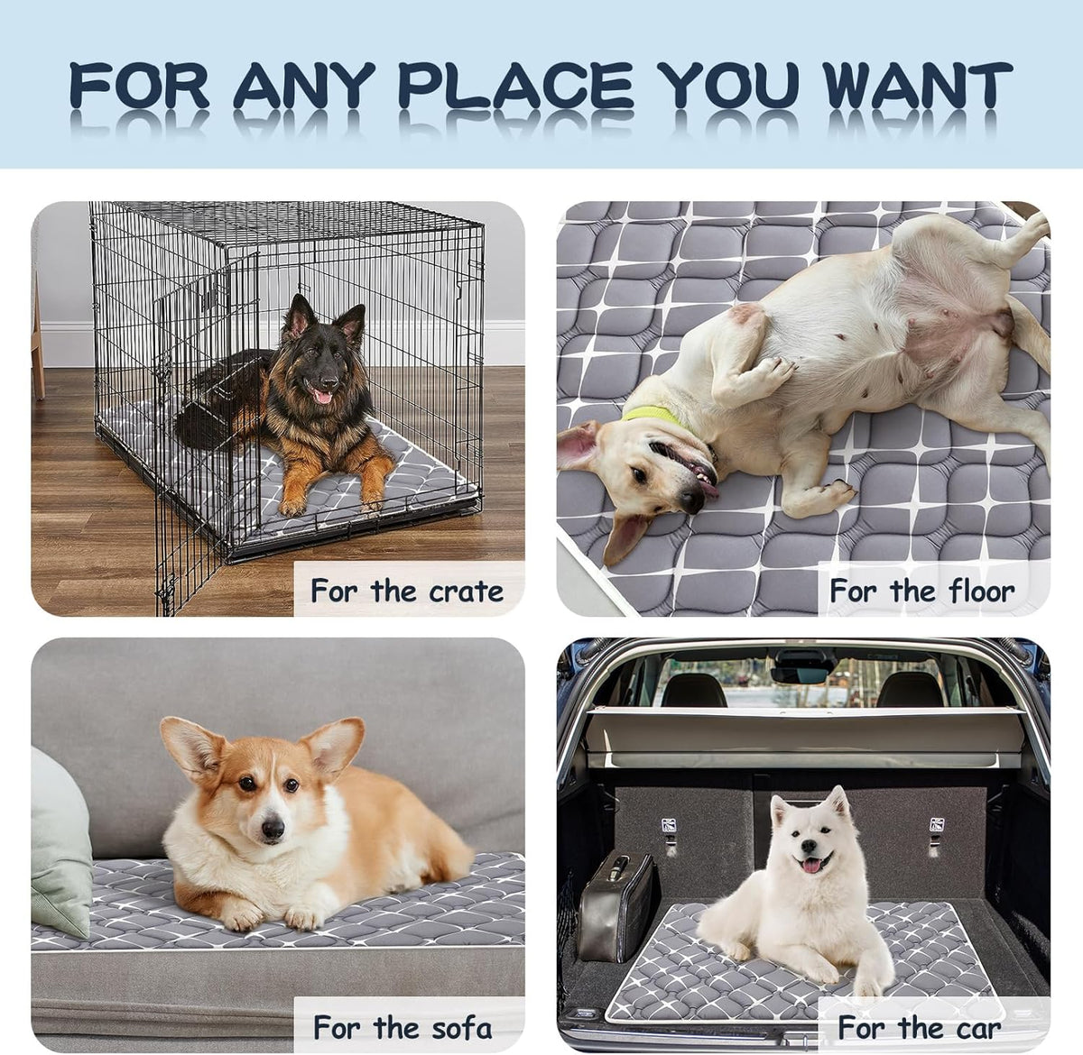 Bubble bear Dog Crate Mat - Ultra Soft, Washable & Anti-Slip Kennel Pad for Small/Medium/Large Dogs, Dark-Hued to Hide Stains (48"x30")