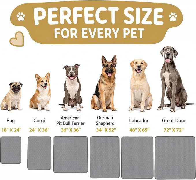 CoolShields Washable Pee Pads for Dogs, 24'' x 36'', Grey, 2 Pack | Ultra-Absorbent Reusable Waterproof Puppy Pad for Crates, Playpens, Carpets, and Floors—Ideal for Dogs, Cats, and Small Pets