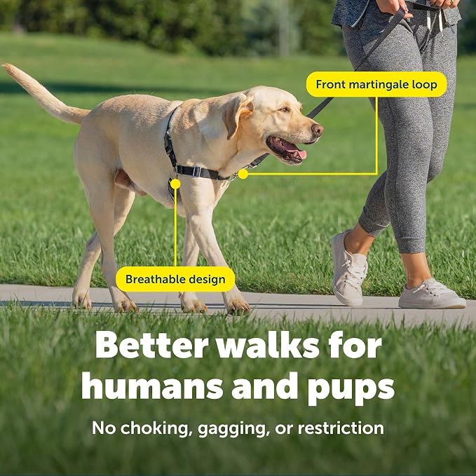 PetSafe Easy Walk Harness, No Pull Dog Harness, Large, Teal | Patented Martingale Loop Gives Gradual Shoulder Pressure to Stop Pulling, Front-Chest Leash Clip Prevents Gagging